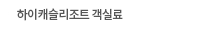 하이캐슬리조트 패키지